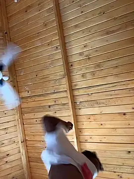 bigfatdick111 online show from March 17, 2026, 6:27 am