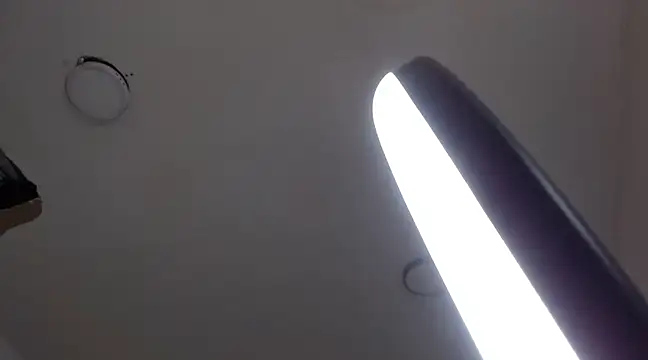 Snapshot of MurdockH chatting on February 21, 2025, 9:02 am MurdockH online show from February 21, 2025, 9:02 am