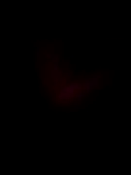 Boss199971 online show from November 7, 2025, 11:37 am