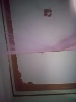 BriannaVincent online show from April 11, 2026, 4:31 am