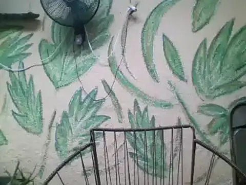 friendsloversex online show from March 21, 2025, 5:02 pm