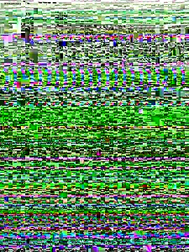 Shona5768 online show from November 20, 2025, 8:48 am