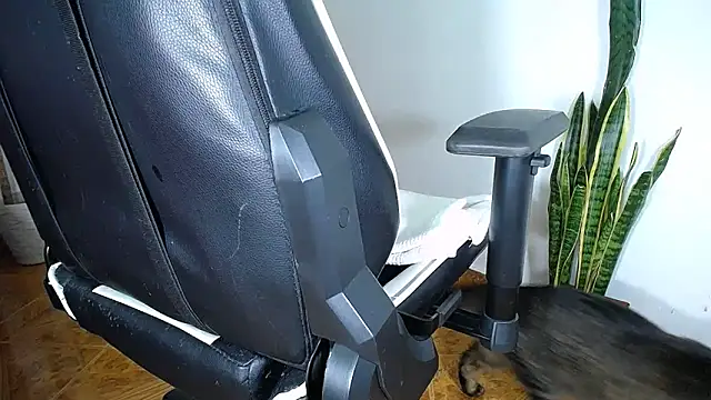 diamond black00 online show from March 19, 2025, 12:04 am