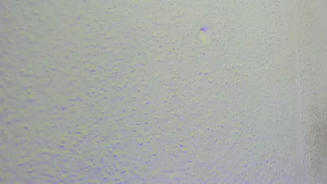 JESSYCORTES online show from September 10, 2025, 1:32 pm