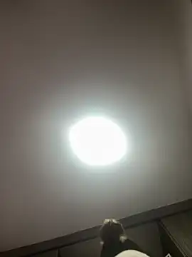 PandoraRider online show from April 3, 2026, 12:44 pm