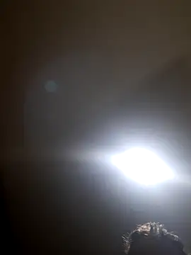 Colorao4 online show from November 19, 2025, 4:23 am