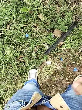 C vas  online show from March 7, 2025, 7:05 pm