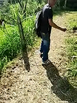 C vas  online show from March 16, 2025, 8:32 pm