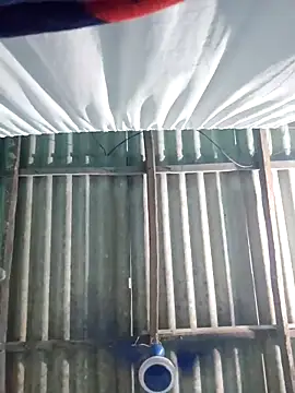 hotbaby 5 online show from November 6, 2025, 7:01 am