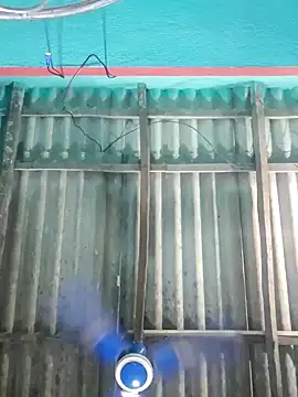 hotbaby 5 online show from September 12, 2025, 11:48 pm