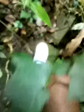 dpkpaksudda online show from September 23, 2025, 5:14 am