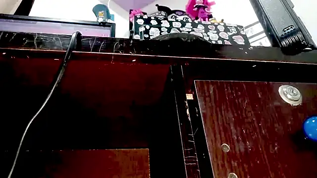 PetiteIvoryQueen19 online show from November 7, 2025, 3:55 am