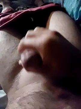 Camilo-31RI online show from April 14, 2026, 4:12 pm