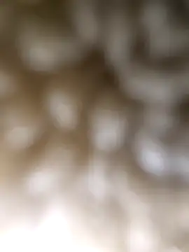 ch   ro69 online show from March 5, 2026, 9:22 pm