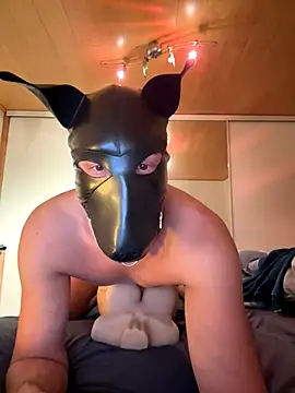 Snapshot of PlayDog123 chatting on November 27, 2025, 4:40 pm PlayDog123 online show from November 27, 2025, 4:40 pm