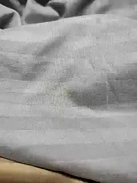 Snapshot of Silver1977 chatting on January 2, 2025, 4:20 am Silver1977 online show from January 2, 2025, 4:20 am