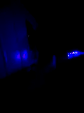 KAZADO LIBERAL online show from February 22, 2026, 11:34 am