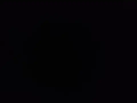 SALLY OMAR  online show from November 12, 2025, 5:06 pm