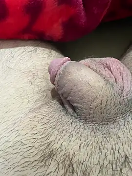 TheArabicGuyx online show from February 13, 2026, 9:48 pm