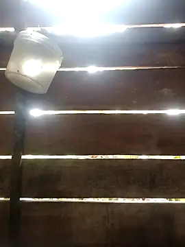 Huebolocko online show from January 6, 2025, 1:41 pm