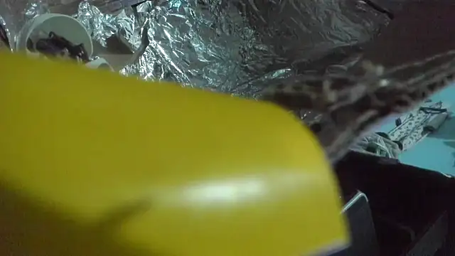 shayla brown  online show from November 1, 2025, 3:39 pm