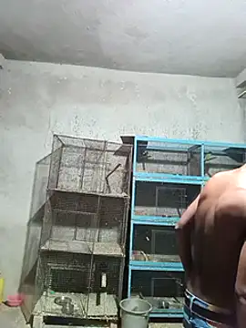 NICK IN online show from February 1, 2025, 3:28 pm