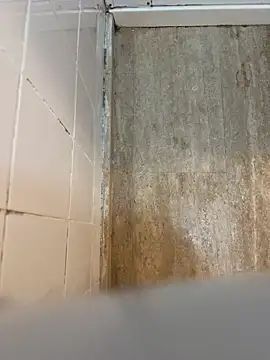 reelciii21 online show from March 23, 2025, 12:58 am