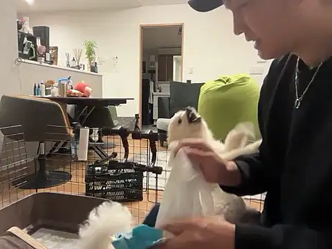 kensnb online show from November 4, 2025, 8:51 am