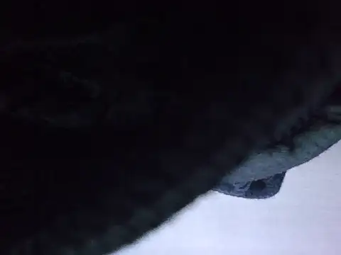 exmilitary online show from February 15, 2026, 12:59 pm