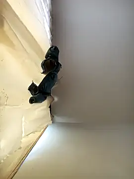 Dilan 1994 online show from November 21, 2025, 3:11 pm