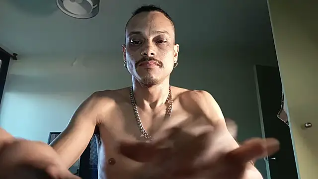 villanocat online show from November 26, 2025, 11:05 pm