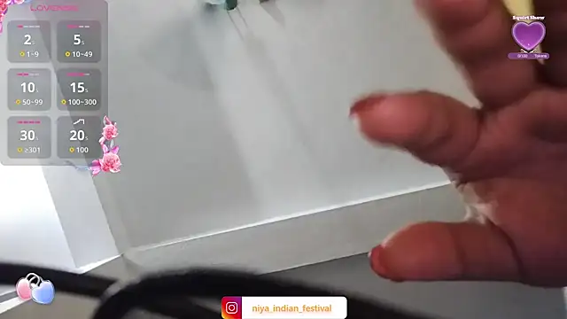 Deshi Chori online show from September 28, 2025, 8:27 pm