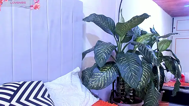 Mindy sweety online show from March 6, 2025, 7:54 pm