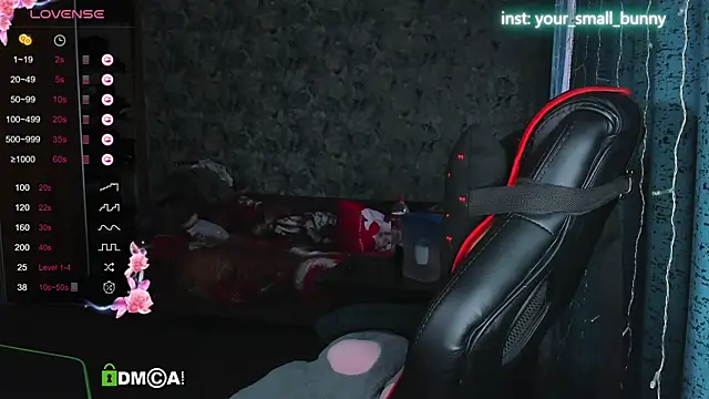 Your small bunny online show from October 4, 2025, 2:13 am