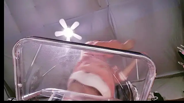 Im IVE LOVE online show from December 14, 2024, 5:29 am