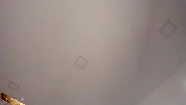 Bylie Hills online show from April 16, 2026, 9:39 pm