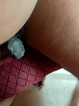 manoj master online show from September 14, 2025, 9:42 am