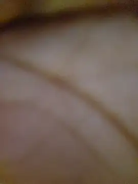 Drippincaty online show from March 6, 2026, 4:35 pm