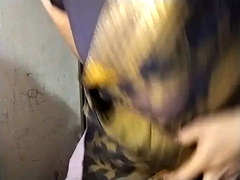 Mumbaistar online show from March 6, 2026, 5:35 am