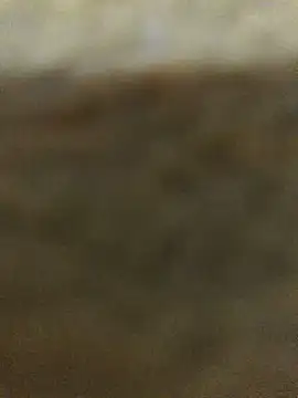 Bigdick pedro online show from September 9, 2025, 1:49 am