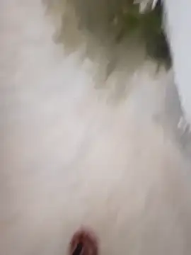 nick05inch online show from September 19, 2025, 12:53 pm