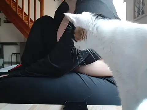 Lauzo21 online show from March 19, 2026, 6:35 am