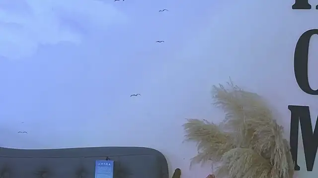 carolayrosse online show from December 23, 2025, 4:01 am