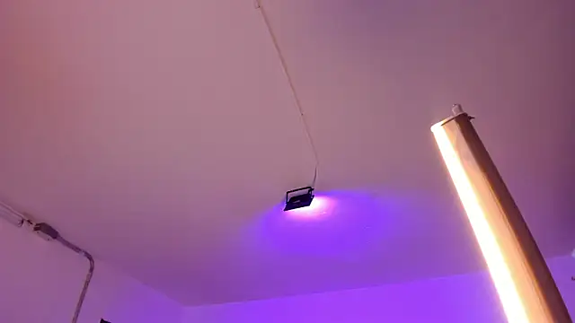 Amy Kiitty  online show from February 4, 2026, 12:55 pm