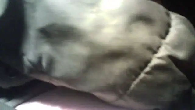 oliveirinhafotografo online show from March 5, 2025, 10:54 pm