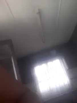 Snapshot of Feathergal69_ chatting on February 2, 2025, 8:56 am Feathergal69 online show from February 2, 2025, 8:56 am