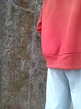 Snapshot of Piyush_2024 chatting on February 17, 2026, 1:47 am Piyush 2024 online show from February 17, 2026, 1:47 am