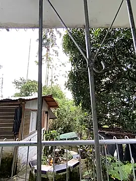 Snapshot of Jestebanano chatting on May 4, 2026, 4:54 pm Jestebanano online show from May 4, 2026, 4:54 pm