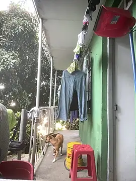 Jestebanano online show from April 14, 2026, 12:54 pm