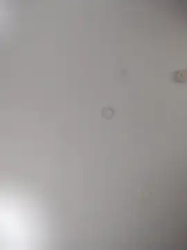 geilerschwanz64 online show from October 24, 2025, 7:07 am